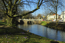 900825 Gezicht op de Stadsbuitengracht te Utrecht, vanaf het plantsoen aan het Lucasbolwerk, met op de achtergrond de ...